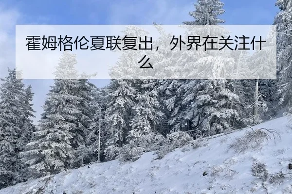 霍姆格伦夏联复出，外界在关注什么